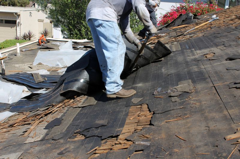 Asphalt Removal